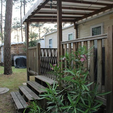 Mobil-Home Spatieux 8Pers - Brume Saint-Julien-en-Born Eksteriør billede